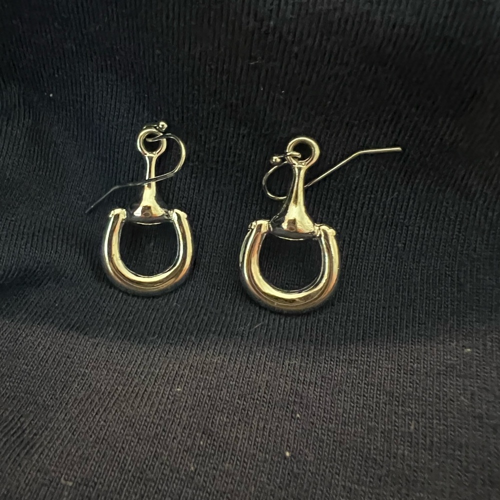 Elegant Silver Tone Horse Bit Equestrian Hoop Earrings